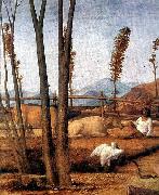 Gentile Bellini Madonna of the Meadow painting